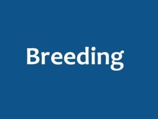 Breeding