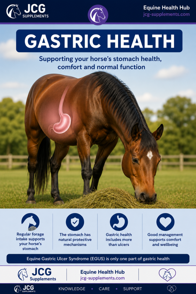 Gastric Health